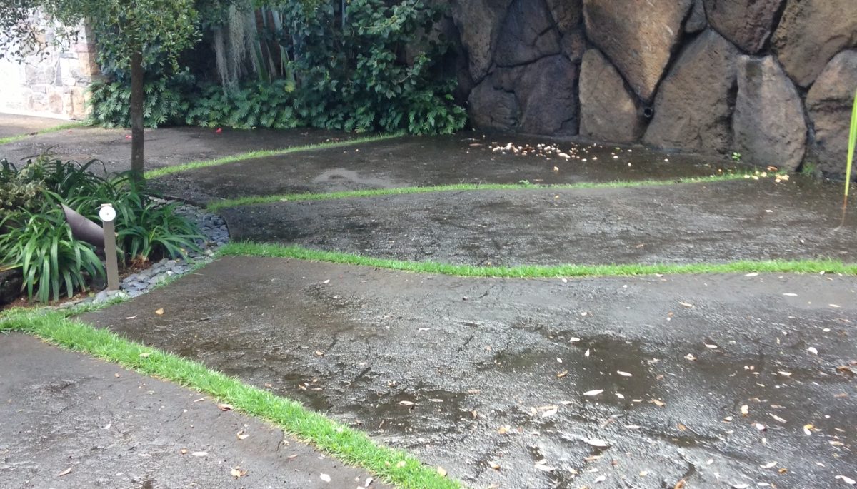 Curving concrete driveway planted at intervals