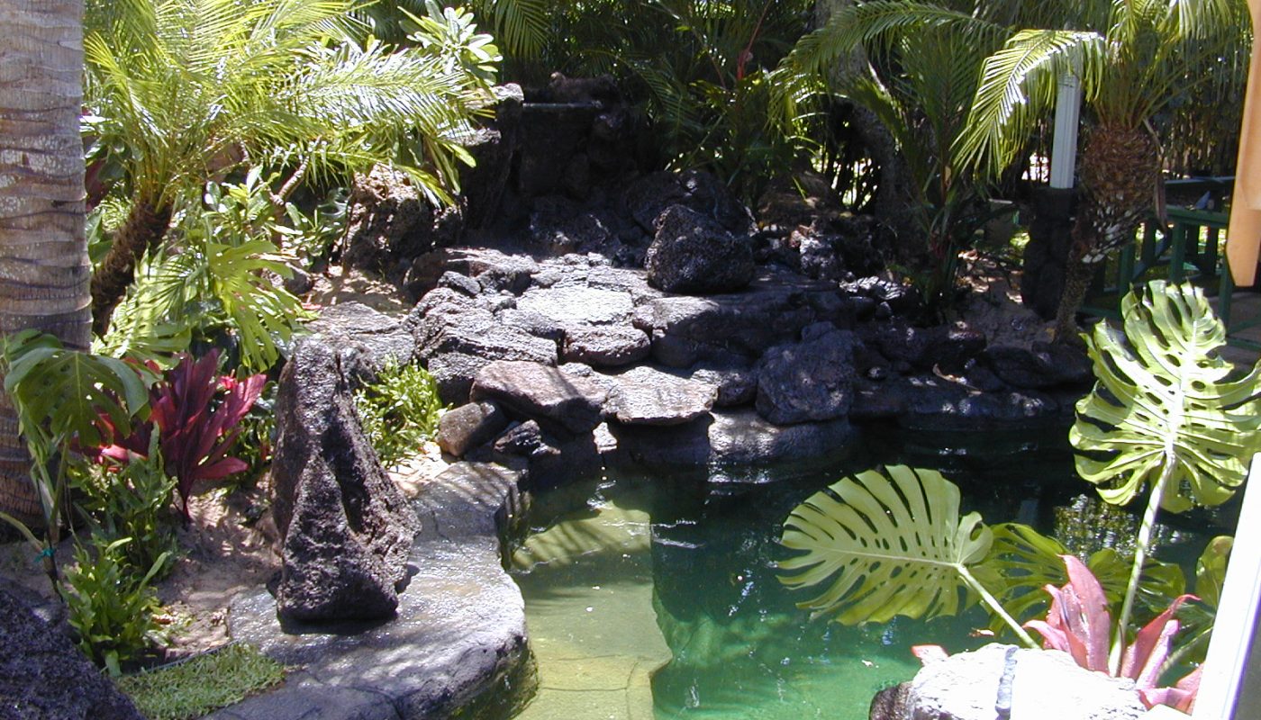 Artificial ponds, natural stone work