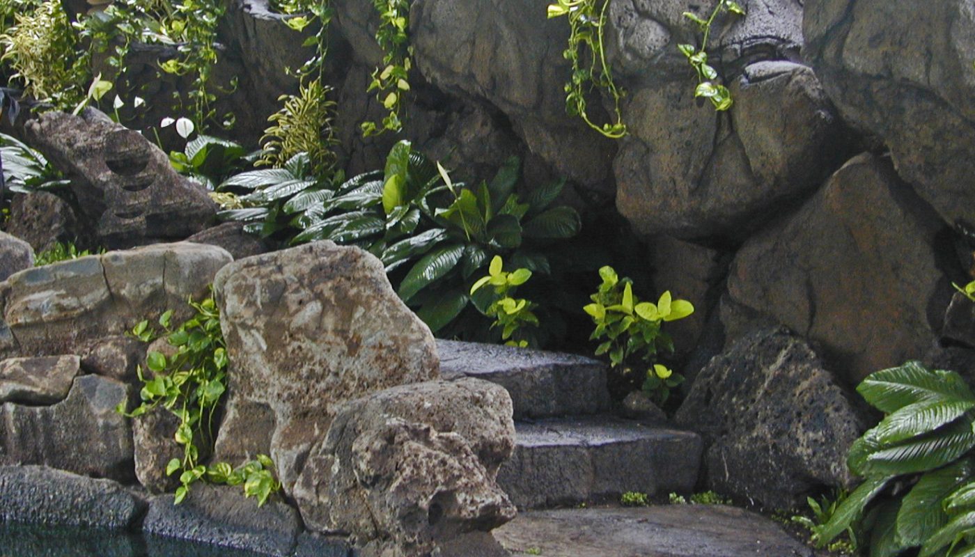 Stone stairs climb through this Hawaiian rock garden.