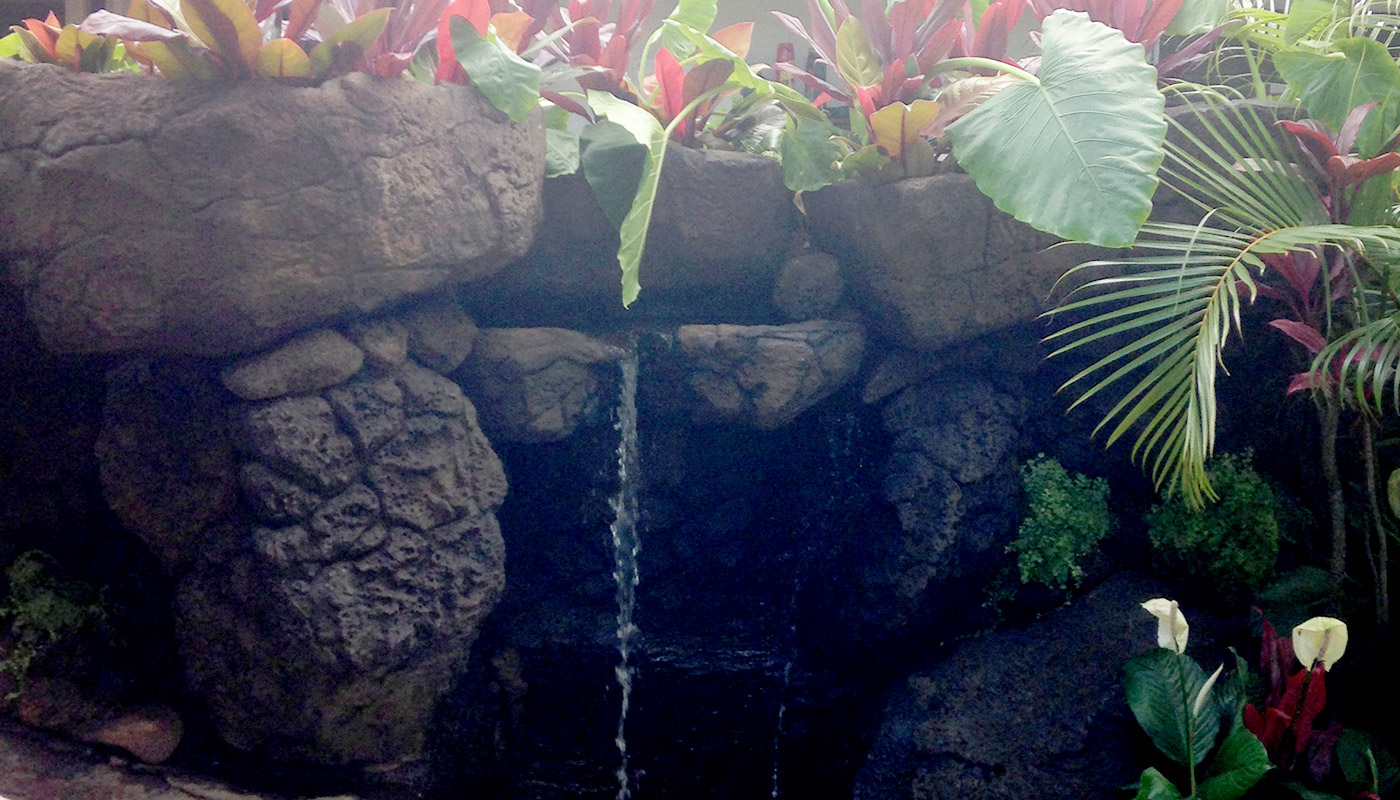 Slideshow: building a custom water feature, shotcrete boulders and waterfall.