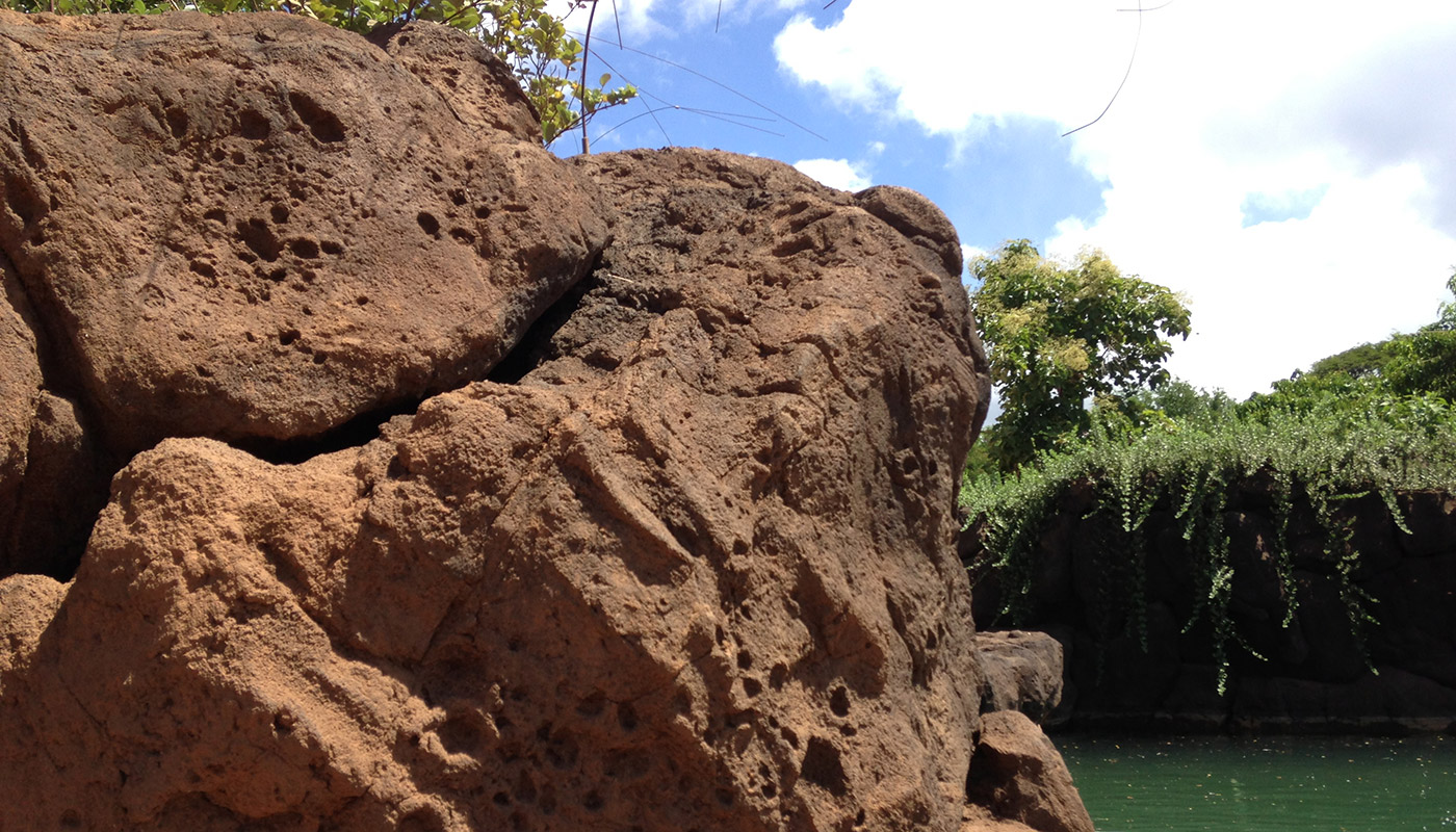 Photo: Honolulu Zoo - elephant habitat, enclosure