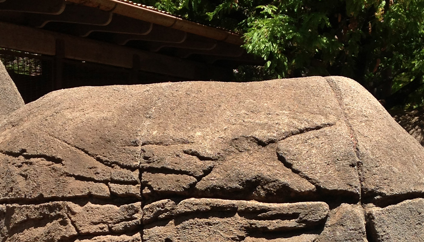 Photo: Honolulu Zoo - elephant habitat, enclosure